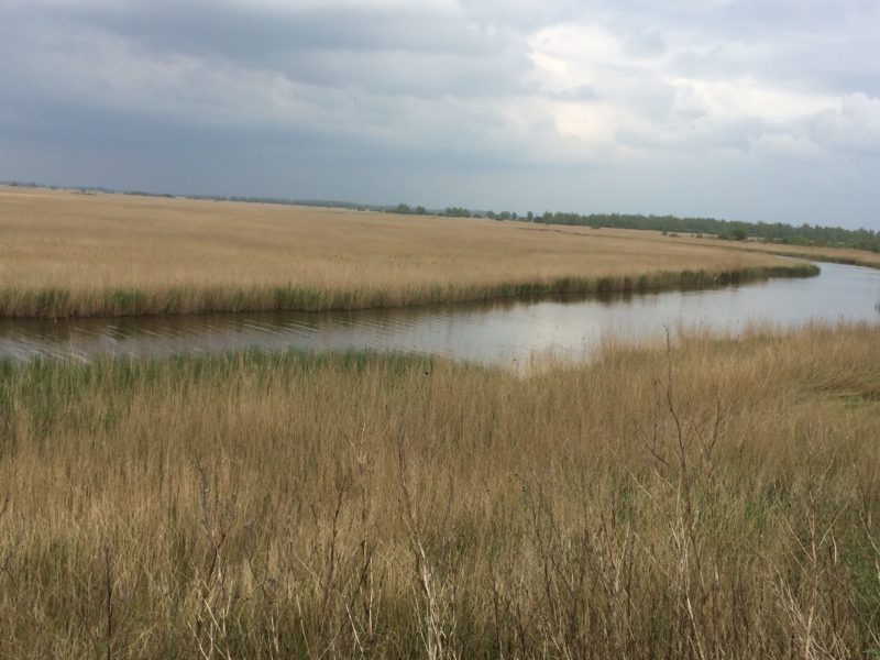 omgeving Nationaal Park